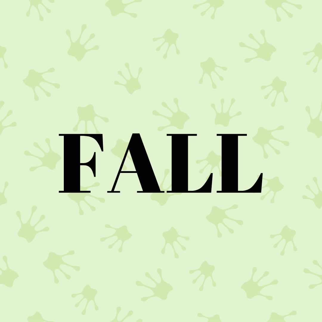 Fall