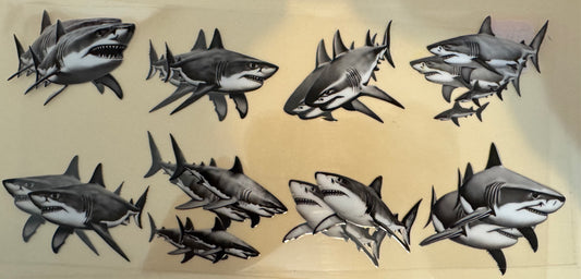 A16 (Animals)